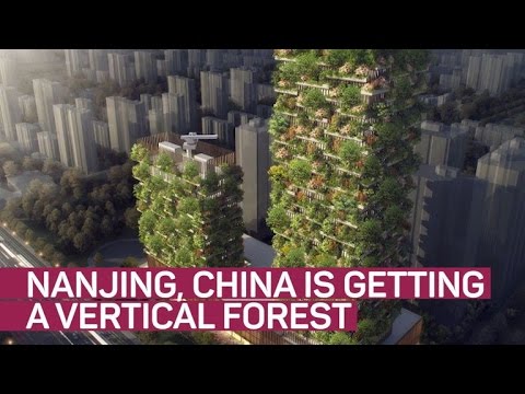 Vertical forest takes root in China (CNET News) - UCOmcA3f_RrH6b9NmcNa4tdg