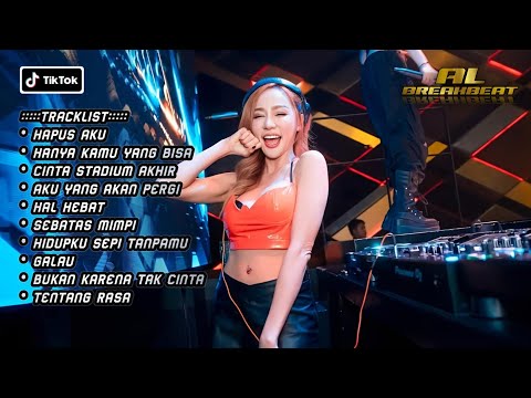 DJ HAPUS AKU x HANYA KAMU YANG BISA BREAKBEAT INDO GALAU MELODY TINGGI 2024 FULL BASS