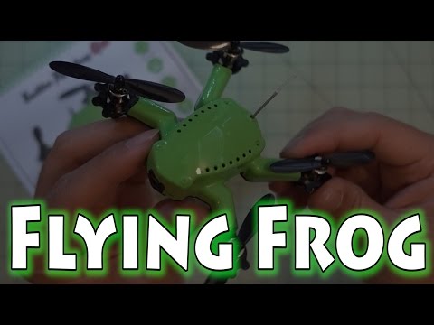 Eachine Flying Frog Review - UCnJyFn_66GMfAbz1AW9MqbQ