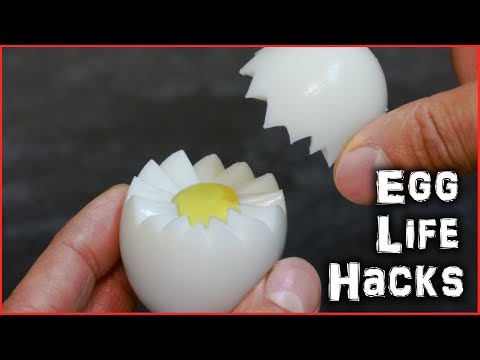 Egg Life Hacks - UC0rDDvHM7u_7aWgAojSXl1Q