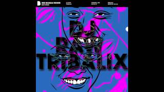 DJ RAW - Tribalix