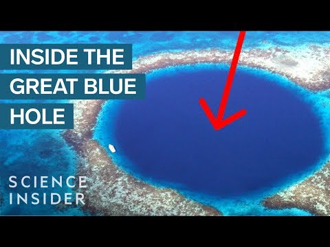 What's At The Bottom Of The Great Blue Hole? - UC9uD-W5zQHQuAVT2GdcLCvg