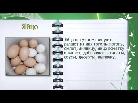 Кулинарная энциклопедия - Яйцо - UC7XBjhXnmmXFsxmnys9PmDQ