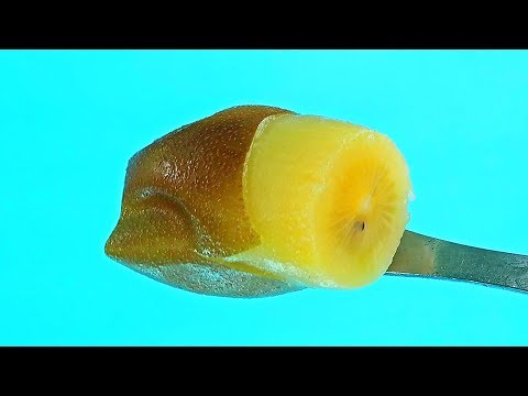 Trying 10 Awesome Fruit Hacks You Should Try By 5 Minute Crafts - UCe_vXdMrHHseZ_esYUskSBw