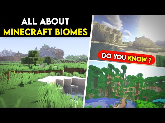 Minecraft Biomes Guide (With Photos and Descriptions)