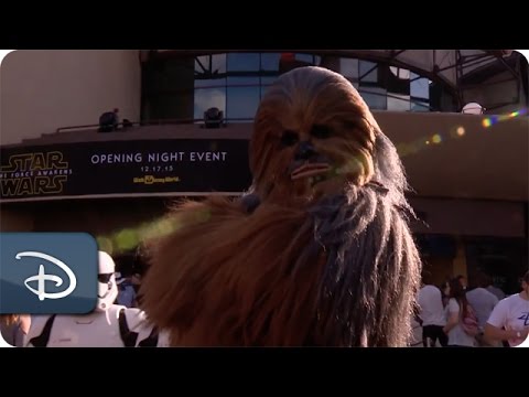 'Star Wars: The Force Awakens' - Opening Night | Walt Disney World - UC1xwwLwm6WSMbUn_Tp597hQ