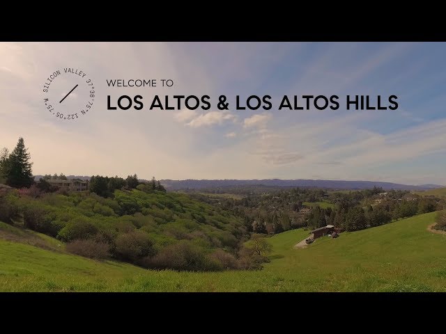 Los Altos Basketball: The Best in the Bay Area