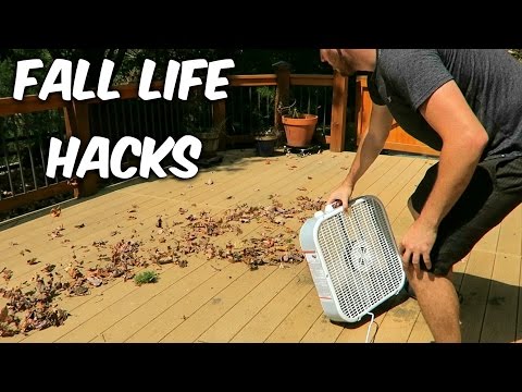 5 Fall Leaves Life Hacks - UCe_vXdMrHHseZ_esYUskSBw