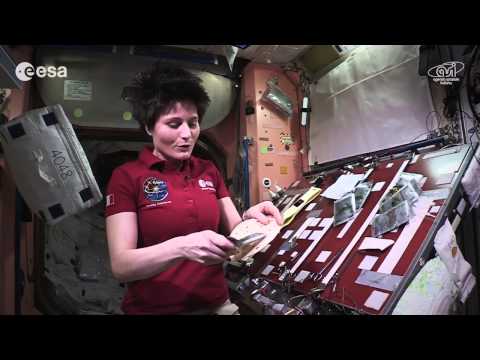 Cooking in space: whole red rice and turmeric chicken - UCIBaDdAbGlFDeS33shmlD0A