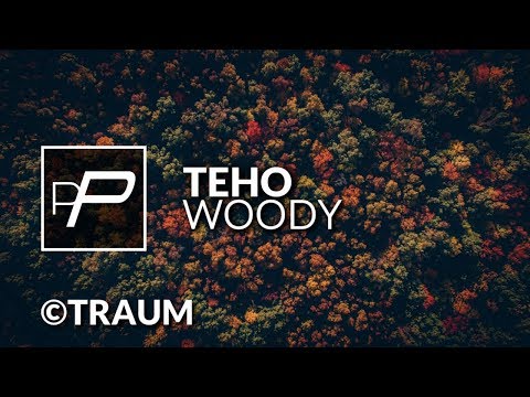 Teho - Woody [Original Mix] - UCmqnHKt5pFpGCNeXZA3OJbw