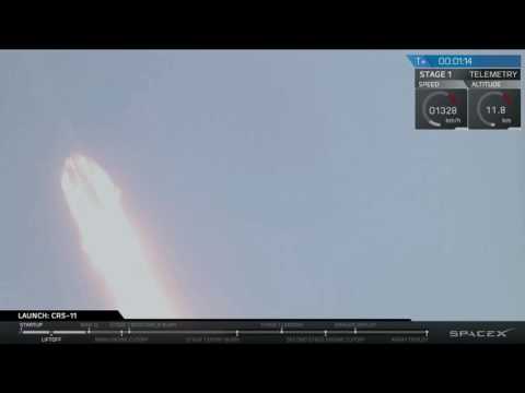 Blastoff! SpaceX Launches Pre-Flown Capsule To Space Station - UCVTomc35agH1SM6kCKzwW_g