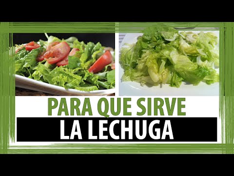 PARA QUE SIRVE EL LICUADO DE LECHUGA | JUGO DE LECHUGA | PROPIEDADES Y BENEFICIOS DE LA LECHUGA - UCxzxq7UK5vpz8gKvrdO5hCg