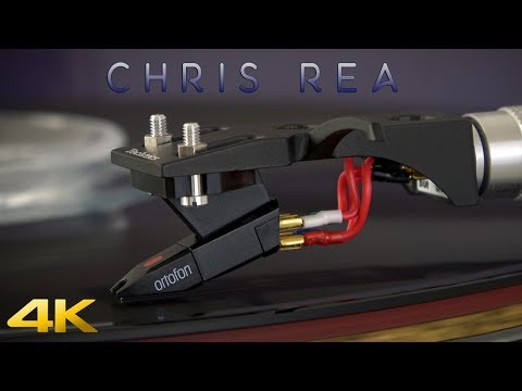 Chris Rea - Daytona - Vinyl - 4K