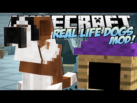 Minecraft | REAL LIFE DOGS MOD!! (Puppies, Kennels & More!) | Mod Showcase - UCS5Oz6CHmeoF7vSad0qqXfw