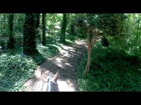 Trail Ride w/ Monty