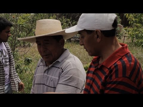 Ceviche con sentimiento - Episodio 9 - UCKc2cPD5SO_Z2g5UfA_5HKg