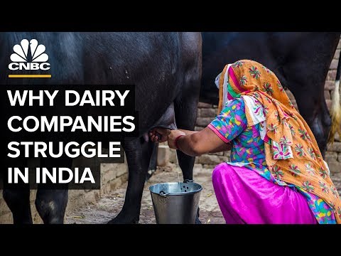 Why Big Dairy Companies Struggle In India - UCvJJ_dzjViJCoLf5uKUTwoA