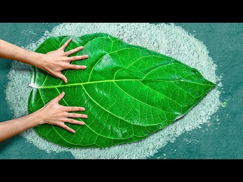 22 CEMENT AND CLAY DIY IDEAS - UC295-Dw_tDNtZXFeAPAW6Aw
