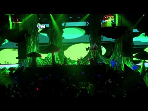 TomorrowWorld 2013 - John Dahlbäck - UCsN8M73DMWa8SPp5o_0IAQQ