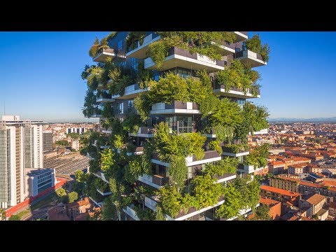 When Trees Meet Buildings | The B1M - UC6n8I1UDTKP1IWjQMg6_TwA