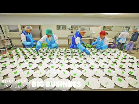 How Emirates Makes 225,000 In-Flight Meals A Day - UCcyq283he07B7_KUX07mmtA