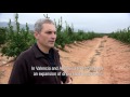 Imagen de la portada del video;Soil erosion in Spain