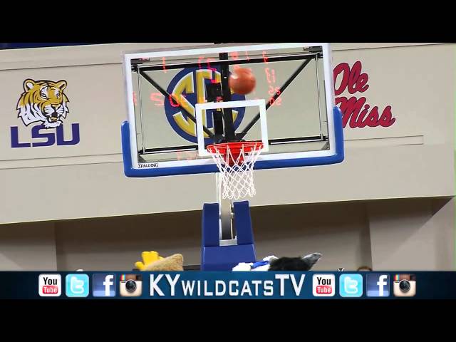 The Kentucky Basketball Mascot is a Wildcat!