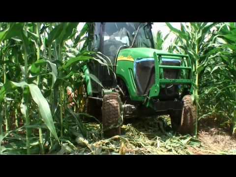 Farmers turn to professionals to cut corn mazes - UCUUWDzrkuEztzddaW_sgQbA