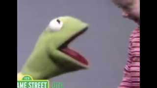 Kermit The Frog - Funny Compilation!