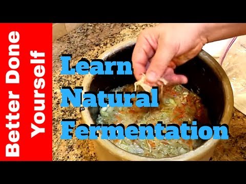 How to Make Probiotic Fermented Sauerkraut - UC1KES3gChTdnEdIn-gZqVhg