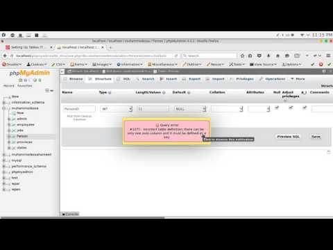 31 JAVA JDBC DataBases insert data