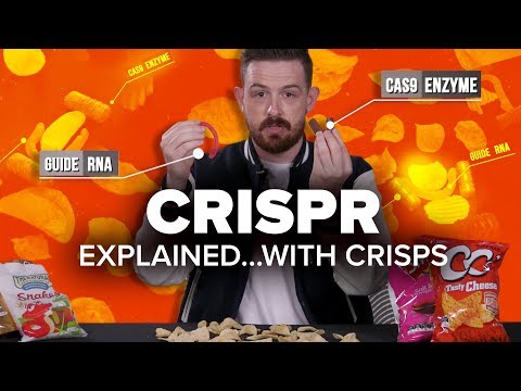 CRISPR gene editing explained -- with snacks! - UCOmcA3f_RrH6b9NmcNa4tdg