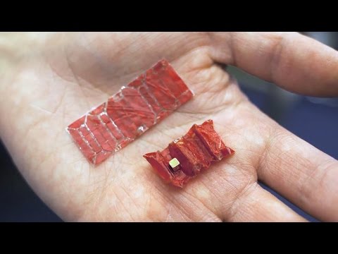 Unfolding meat robot can retrieve ingested batteries (Tomorrow Daily 365) - UCOmcA3f_RrH6b9NmcNa4tdg