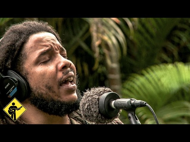 Reggae Music: Three Letters that Make a World of Difference