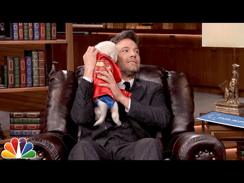 Pup Quiz with Ben Affleck - UC8-Th83bH_thdKZDJCrn88g