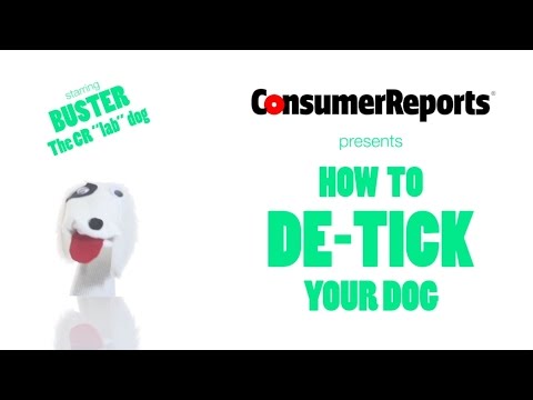 How to Safely "De-Tick" Your Dog  | Consumer Reports - UCOClvgLYa7g75eIaTdwj_vg