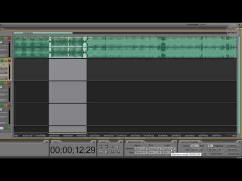 Adobe Audition Tutorial 4 - General UI Features - UCMKbYv-MCXxZlzEPlukCmNg