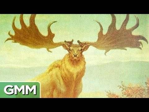 7 Extinct Animals We Wish Were Brought Back to Life - UC4PooiX37Pld1T8J5SYT-SQ