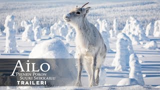 AILO - PIENEN PORON SUURI SEIKKAILU elokuvateattereissa 21.12.2018 (teaser)