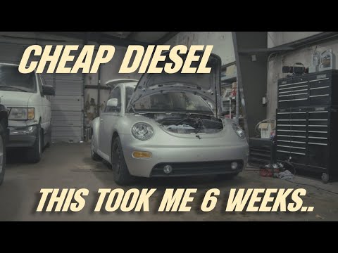 Come e quando sostituire la cinghia di distribuzione della Volkswagen New Beetle 1.9 TDI