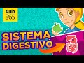 El Sistema Digestivo ?Qu? es la Digesti?n  Videos Educativos Aula365