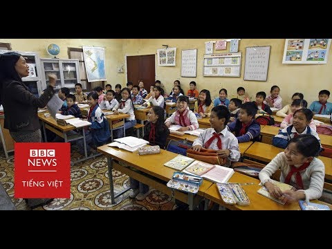 Giáo dục tại Đức có gì khác Việt Nam - BBC News Tiếng Việt