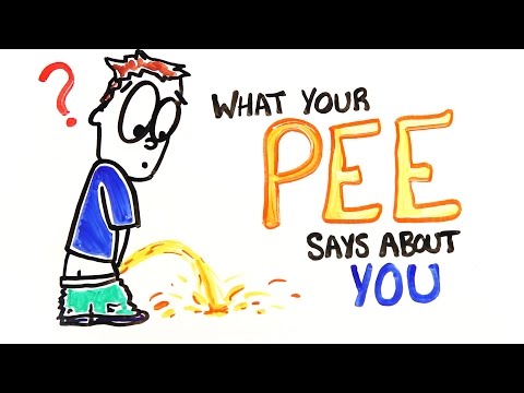 What Does Your PEE Say About You? - UCC552Sd-3nyi_tk2BudLUzA