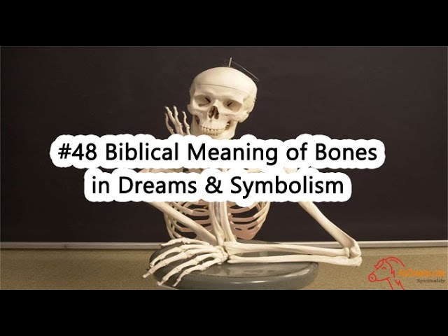 What Does It Mean To Dream About Bones?