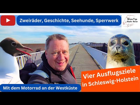 Vier Ausflugsziele in Schleswig-Holstein: Zweiradmuseum, Neulandhalle, Seehunde und Eidersperrwerk