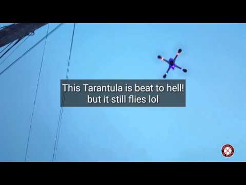 Tarantula x6 Flippin fun! - UCNUx9bQyEI0k6CQpo4TaNAw