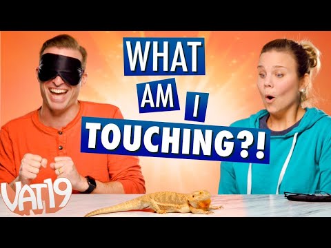 What Am I Touching? | Vat19 Team Challenge - UCDRbNGFusqlXX4a5vwi9ouQ