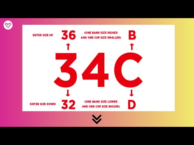 What Bust Size Is A 34B StuffSure