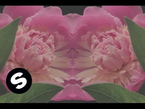 EDX - All I Know (Official Music Video) - UCpDJl2EmP7Oh90Vylx0dZtA