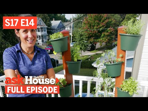 Ask This Old House | Vertical Garden, Toilet Factory (S17 E14) | FULL EPISODE - UCUtWNBWbFL9We-cdXkiAuJA